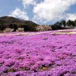 【平田村】県内有数の観光地をもっと楽しくしてみませんか？店舗経営やお菓子作り、移住コーディネーターも募集中！